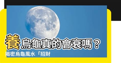 龜風水|【烏龜風水】揭密烏龜風水：家居養龜招財避煞，必知風水禁忌！